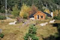 Norwegen Bilder Hemsedal