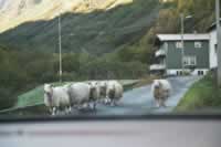 Norwegen Bilder Hemsedal