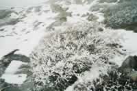 Norwegen Bilder Hemsedal