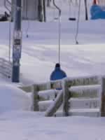 Norwegen Skinnarbu Mosvatn